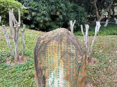 -黄埔荔枝公园