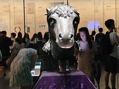 -广西壮族自治区博物馆