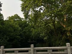 -西郊宾馆-地面停车场