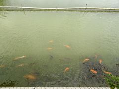 -惠州西湖风景名胜区-丰渚园