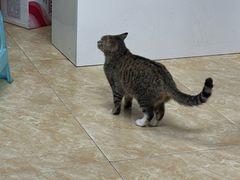 -刘三姐烤肉总店(飞山街店)