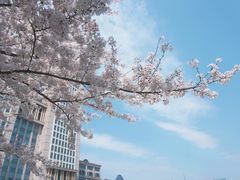 -复旦大学光华楼