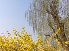 -迎泽公园