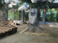 -海南热带野生动植物园