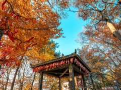 -光雾山旅游景区