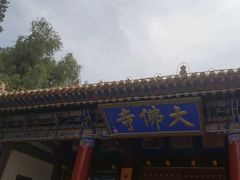 -张掖大佛寺景区