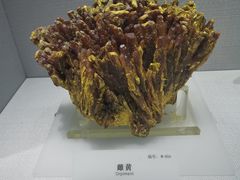 -湖南省地质博物馆