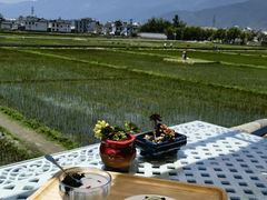 -喜林苑·稻田餐厅(品相府店)