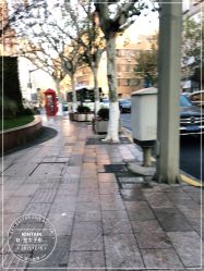 -金太子形象设计