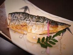 烤青花鱼-松子料理(亮马桥店)