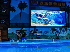 -石家庄极地海洋世界