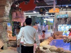 -正佳雨林生态植物园