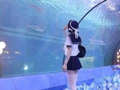 -重庆欢乐海底世界