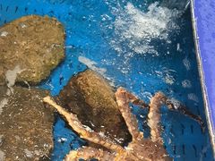 -靓湾海鲜·海景餐厅(小麦岛店)