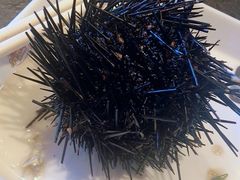 -苏大嘴海鲜牧场(奥林匹克店)