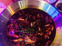 -红牌美蛙鱼头火锅(万辉国际广场店)