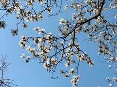 -杭州植物园