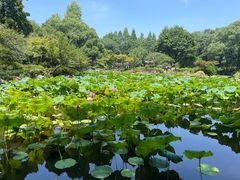 -山外山菜馆(玉泉路店)