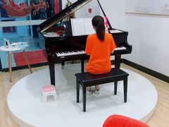 -珠江钢琴艺术中心(文一路店)