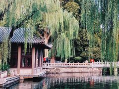 -趵突泉景区