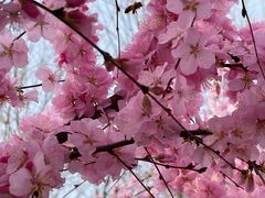 -大兴滨河森林公园