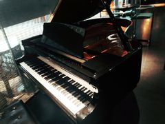 -凤凰湘语·湘粤鲜融(浦东旗舰店)