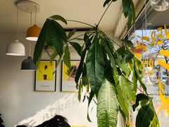 -五进制 Coffee Shop