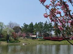 -河北省园博园