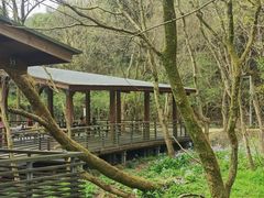 -西湖风景区-江洋畈生态公园
