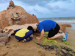 -青岛银沙滩