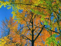 -西南政法大学(渝北校区)