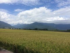 开阔的视野-海底捞火锅(高科广场店)