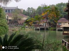 -咸宁万豪温泉谷度假区