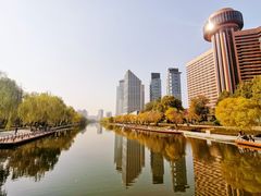-三里屯东五街银杏大道