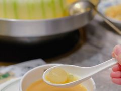 -禄婶鸡煲·打边炉