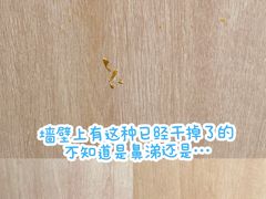 -杭州西湖桔子水晶酒店