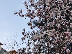 -木塔寺遗址生态公园