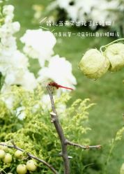-汾阳花园酒店·宴会厅