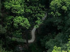 -南山植物园