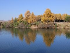 -塞罕坝国家级自然保护区