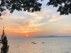 -网红落日悬崖餐厅 The Sky Gallery