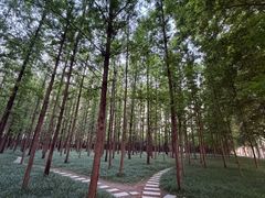 -河南省黄河迎宾馆