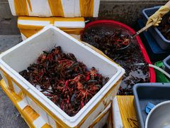 -小田油焖小龙虾(双井店)