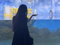 -常州海昌海洋探索馆