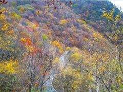 -叠溪松坪沟景区
