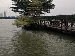 -海珠湖公园