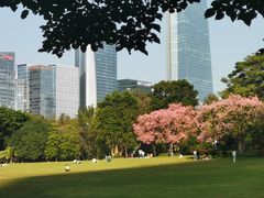 -荔香公园