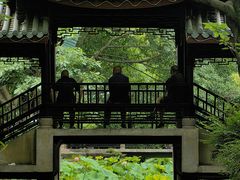 -桂湖森林公园