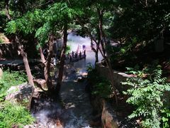 -北京西山国家森林公园