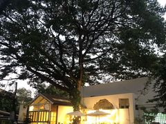 -Cheevit Cheeva(Sirimangkalajarn)